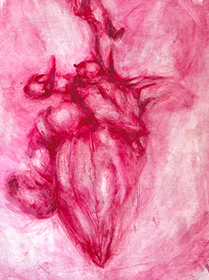 Detalhe rosa 1